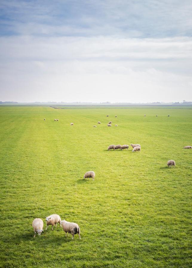 Ollediek Houwerzijl Экстерьер фото
