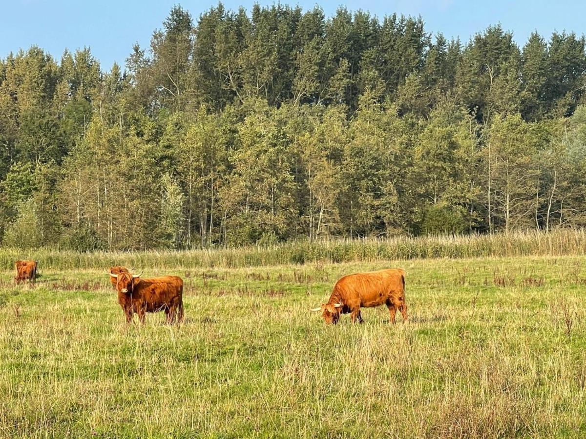 Ollediek Houwerzijl Экстерьер фото