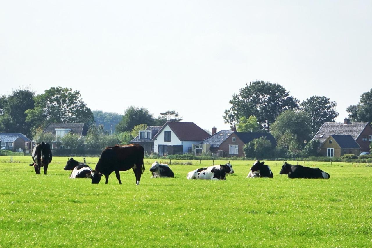Ollediek Houwerzijl Экстерьер фото